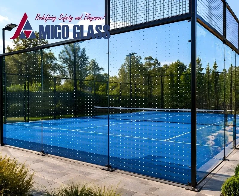 Migo bird friendly glass padel court Migo bird friendly glass padel court